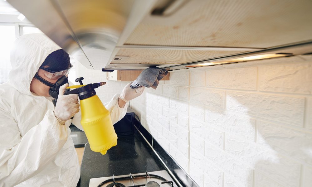 Cleaning service worker spraying detergent